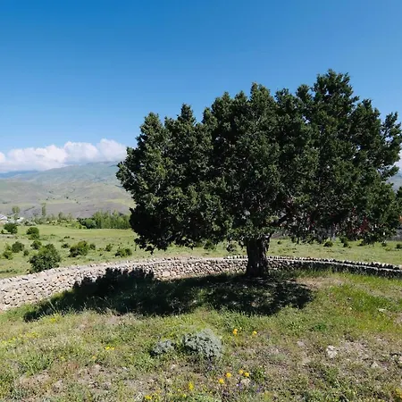 Baksı Konukevi By Anatolity Collection Bayburt (Black Sea)